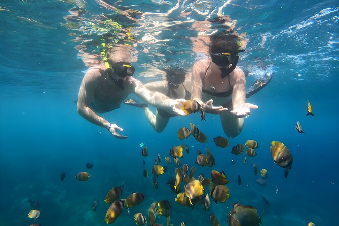 Nusa Penida Island Beach Tours with Snorkeling From Bali - The snorkeling plan: Gamat Bay, Crystal Bay, and Manta Bay