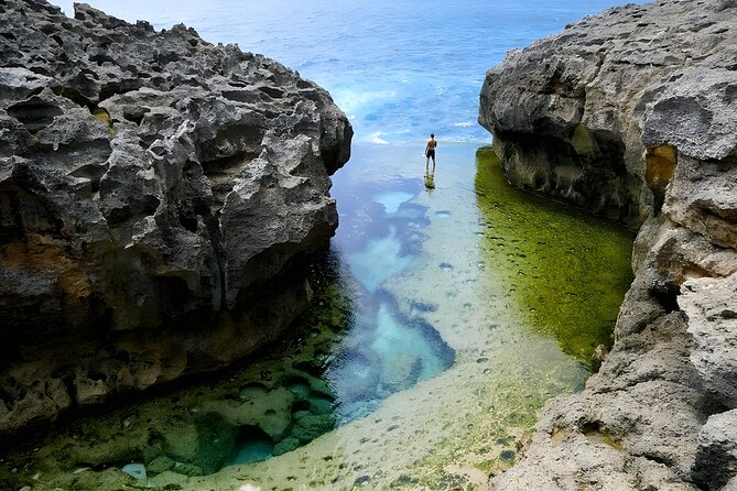 Nusa Penida Island Beach Tours with Snorkeling From Bali - Price and value: what you really get for about $137.75