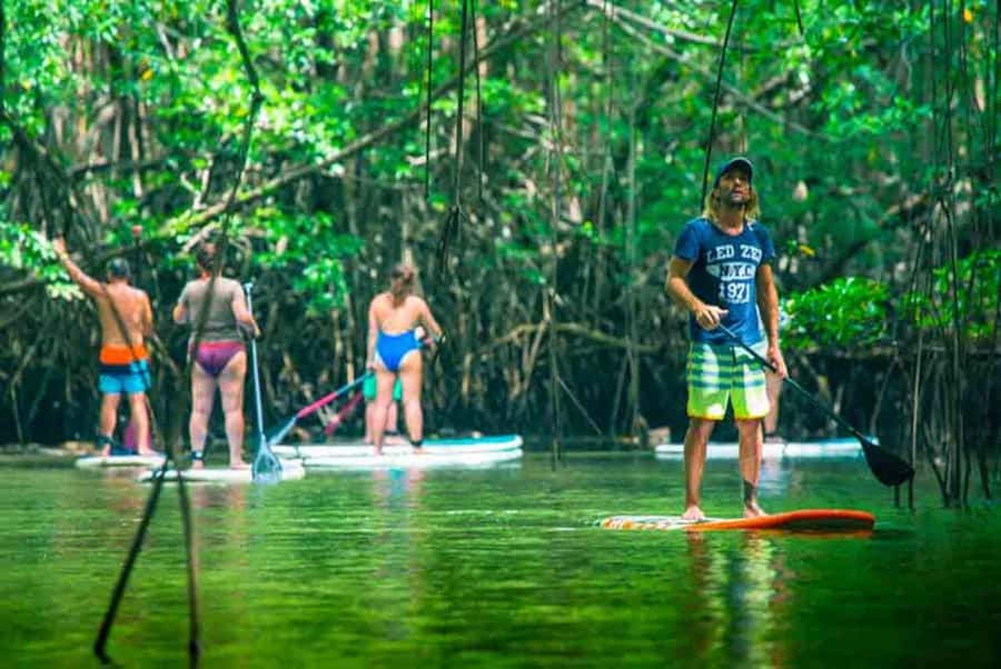 Nusa Penida: Snorkel 3 Spots w/ GoPro & Mangrove Paddle Tour - Timing, transfers, and why seasickness prep can matter