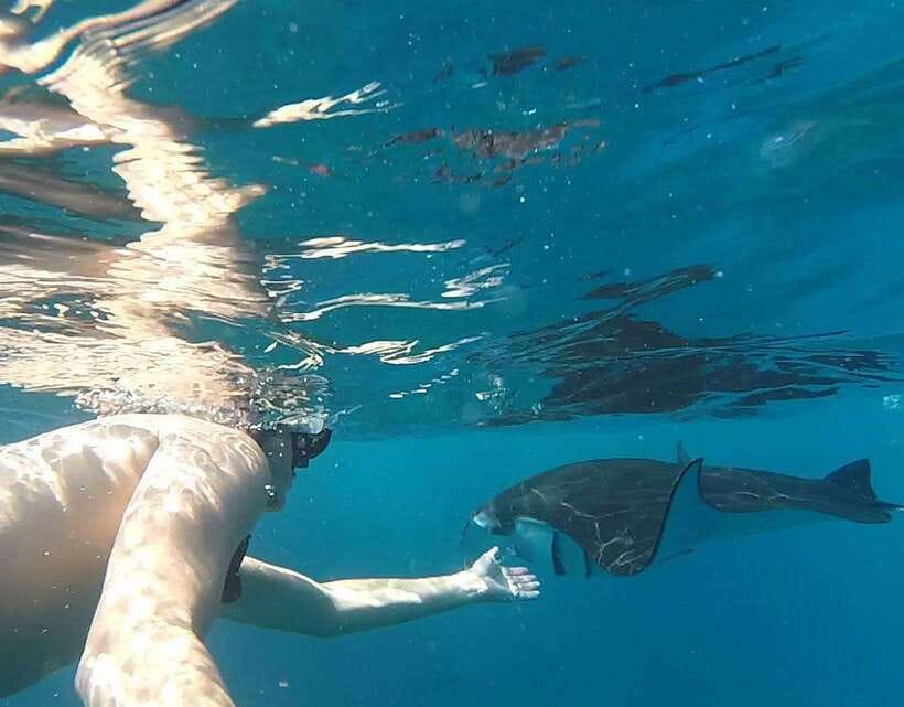 Nusa Penida: Snorkeling 3-4 spots and island tour with guide - Currents and safety: how the crew helps when conditions get real