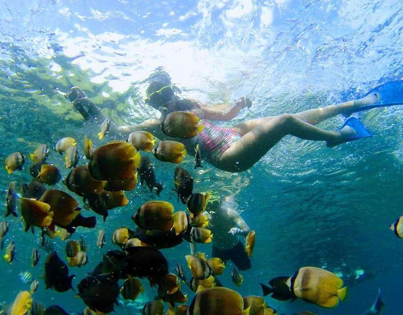 Nusa Penida: Snorkeling 3-4 spots and island tour with guide - West-coast cliffs combo: Kelingking, Broken Beach, and Angel’s Billabong