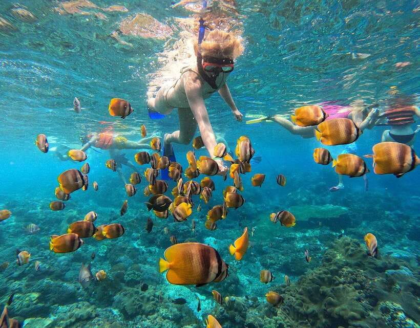 Nusa Penida: Snorkeling 3-4 spots and island tour with guide - Value for money: why the price can make sense
