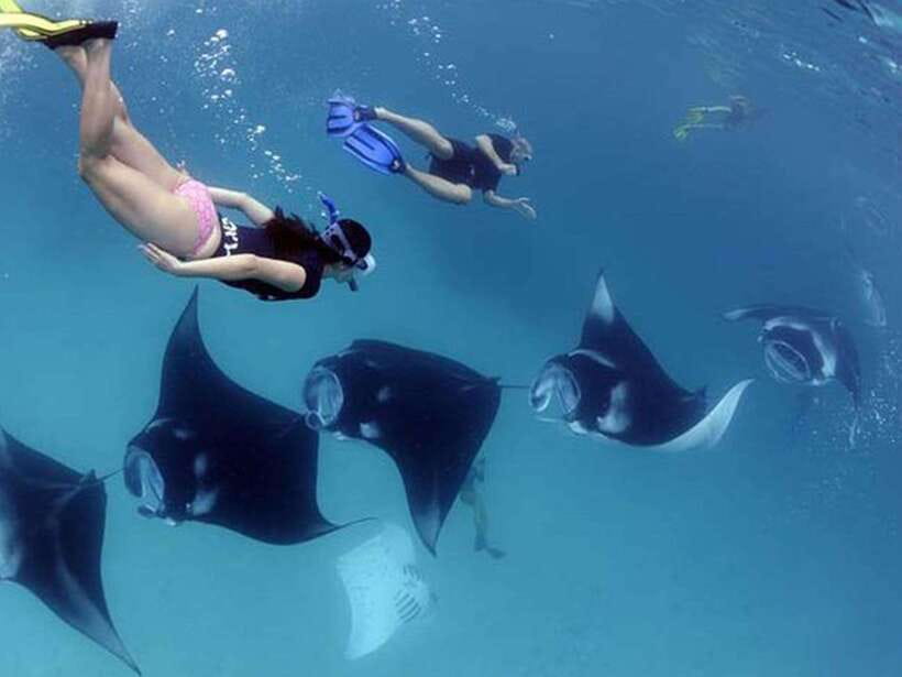 Nusa Penida: Snorkeling 3-4 spots and island tour with guide - Getting to Nusa Penida: start points and how long the day feels