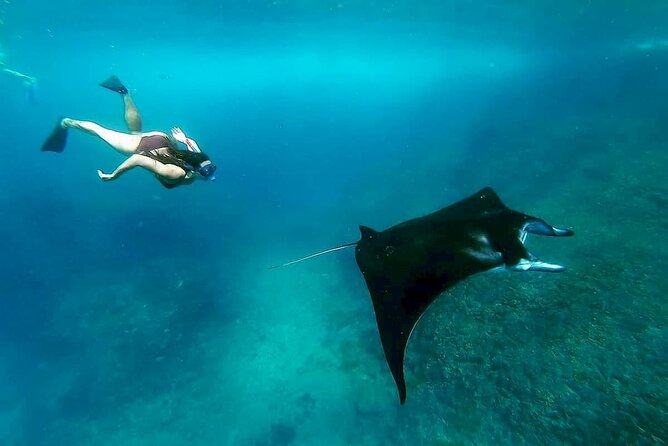 Nusa Penida Snorkeling 3 Point with Manta Bay & Land Tour - Morning logistics: pickup, Sanur port, and the fast boat reality
