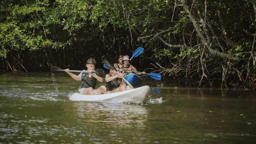Nusa Penida: Snorkeling 3 Spots with GoPro & Kayak Mangroves - Snorkeling plan in real terms: Manta Bay, Gamat Bay, and Crystal Bay
