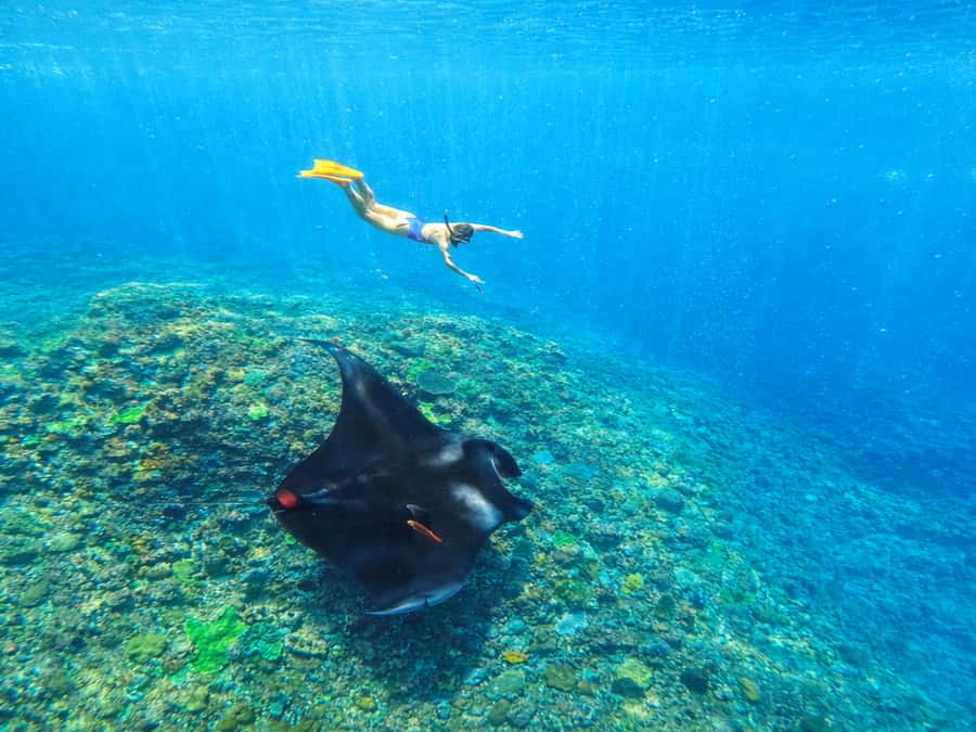Nusa Penida: Snorkeling 3 Spots with GoPro & West Land Tour - Key highlights you’ll care about