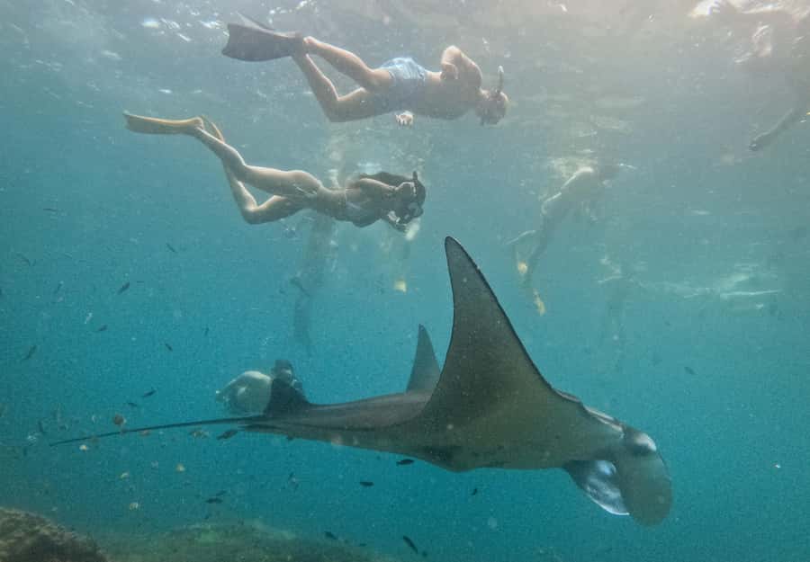 Nusa Penida: Snorkeling 3 Spots with GoPro & West Land Tour - Nusa Penida in one long day: why this mix works