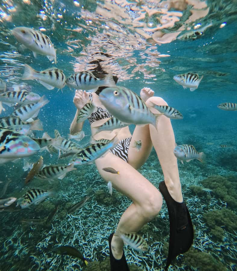 Nusa Penida: Snorkeling 3 Spots with GoPro & West Land Tour - Snorkeling morning: Manta Bay first, then Crystal Bay and Gamat Bay