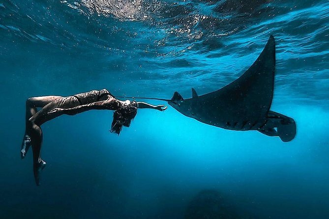 Nusa Penida Snorkeling Adventure (Private & All-Inclusive) - Private Transfers and a 6:00 am Start That Actually Makes Sense