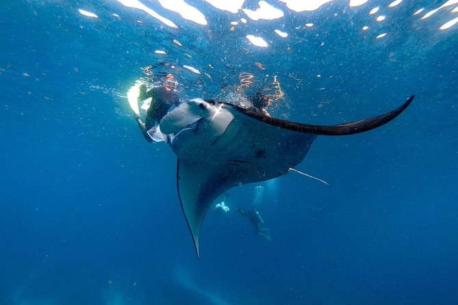 Nusa Penida Snorkeling Adventure (Private & All-Inclusive) - Puyung Bay and GT Bay: Where the Water Actually Changes