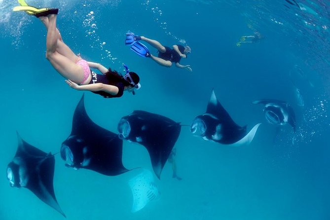 Nusa Penida Snorkeling Adventure (Private & All-Inclusive) - The Nusa Penida Land Tour: Viewpoints, Short Stops, and Time to Breathe