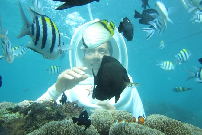 Nusa Penida Trip with Snorkeling all-Inclusive - Why this Kuta to Nusa Penida day feels efficient