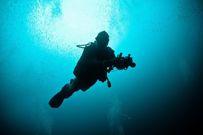 Nusa Penida Two Dives Trip for Certified Divers - Key Things That Make This Trip Worth Your Time