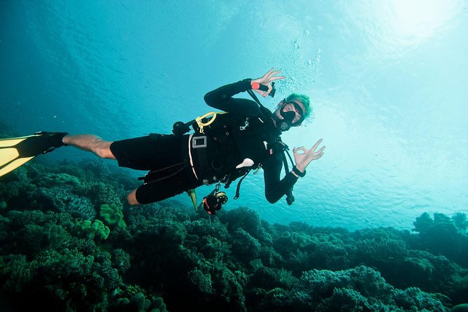 Nusa Penida Two Dives Trip for Certified Divers - Meeting at Pure Dive Resort and Getting Set Up With Included Gear