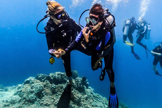 Open Water Course in Nusa Lembongan - Get Certified on remote island (next Bali) - Toyapakeh and Deeper Conditions: Practicing Technique With Real Marine Life Around