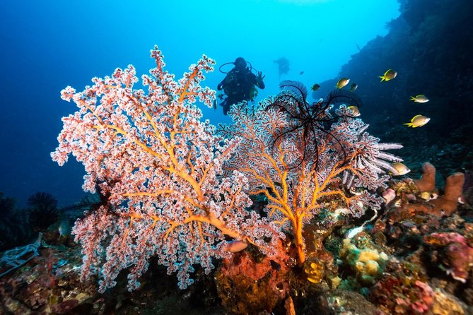 Open Water Course in Tulamben - Get Certified in Bali - Instructor support matters, and Budi is mentioned for a reason