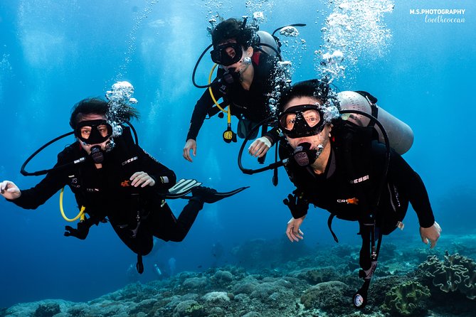 Open Water Course in Tulamben - Get Certified in Bali - Your certification outcome: what the SSI Open Water card lets you do later