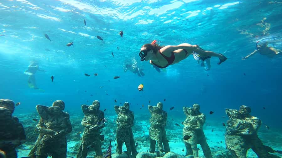Ozzy Snorkeling 3 Islands Visit Baby Turtles - Stop 1: Gili Meno underwater statues and that 48-figure circle