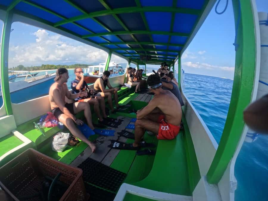 Ozzy Snorkeling 3 Islands Visit Baby Turtles - Who should skip this tour, and who will love it