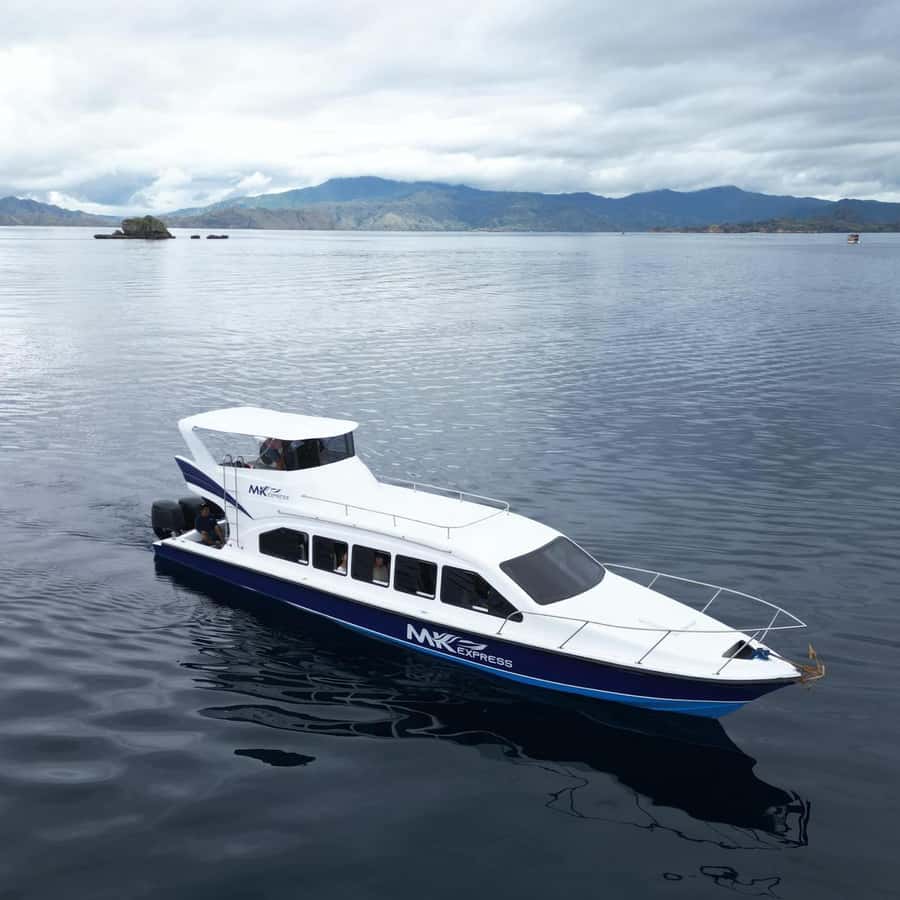 Padar Island, Pink Beach, Komodo Full-Day Shared Trip - Snorkeling for Manta Rays and Turtles, Plus Gear You Should Check