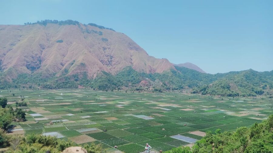 Pergasingan Hill Trek: Unveiling the Beauty of Sembalun - Price and value: what $58 buys you in a one-day trek