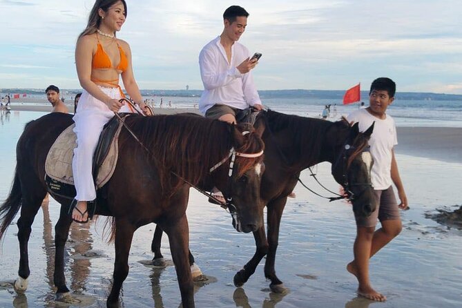 Private Bali Horse Riding In Seminyak Beach - Horses and their care: most people love it, a few do not