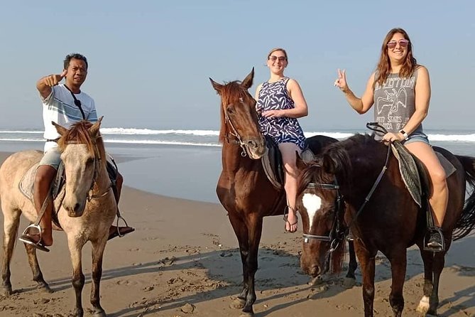 Private Bali Horse Riding In Seminyak Beach - Price and value: $42.99 for an hour of private beach time