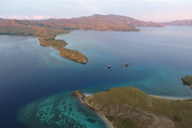 Private boat trip Komodo 2 or more person for 3 days 2 nights, Kelor, Rinca... - Wildlife Viewing: How This Itinerary Handles Land and Sea Animals
