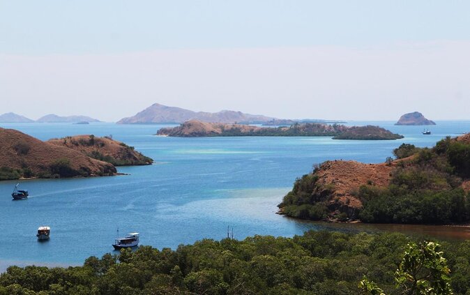 Private boat trip Komodo 2 or more person for 3 days 2 nights, Kelor, Rinca... - Day 1 in Komodo: Kelor’s Top Views, Rinca Dragons, Kalong at Sunset