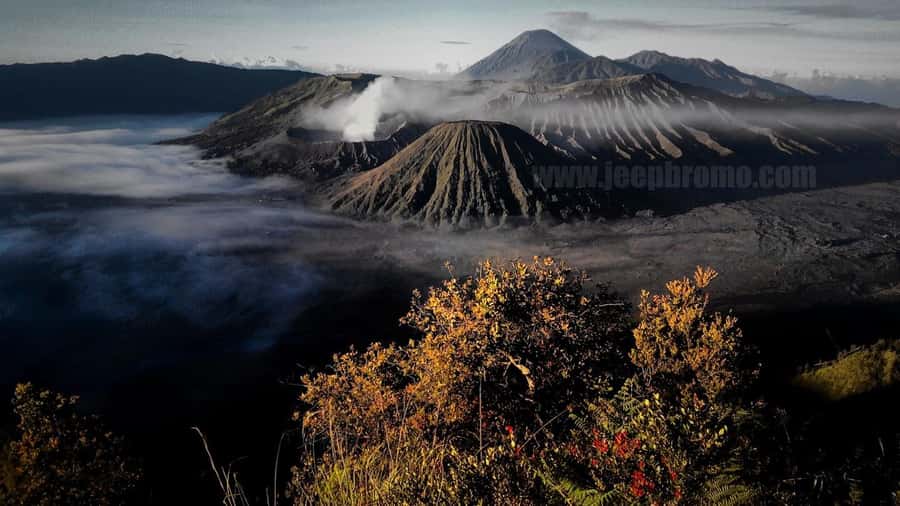 Private Bromo Tour start from Malang - 1D - Should you book this Midnight Bromo private trip from Malang?