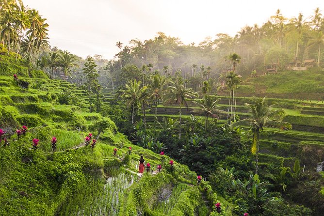 Private Full-Day Tour: Balinese Temples and Rice Terraces - Tegalalang rice terraces trek: short walk, big payoff