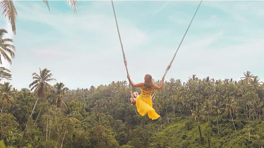 Private Full-Day Tour to the Real Bali Swing and Ubud - Tegallalang Rice Terrace, viewpoints that finish the story