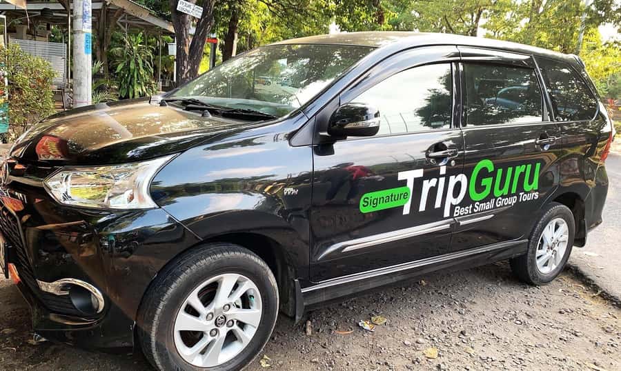 Private Full-Day Tour to the Real Bali Swing and Ubud - Price and what you actually get for $132