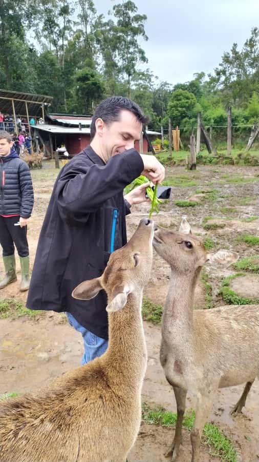 Private: Kawah Putih,Volcano,HotSpring,Mud Bathing,Lake Tour - Deer Conservation at Rancaupas: A Hands-On Wildlife Moment