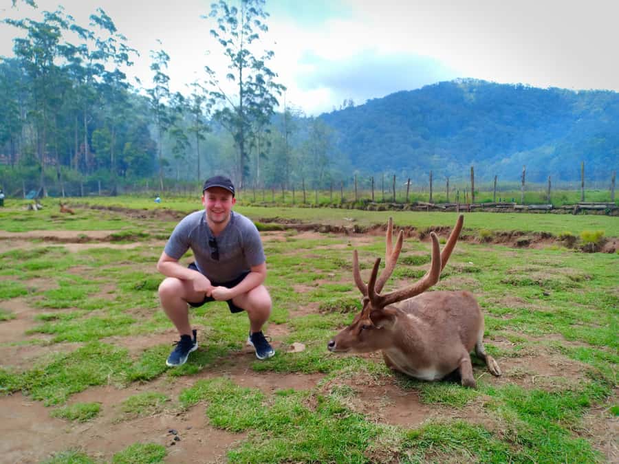 Private: Kawah Putih,Volcano,HotSpring,Mud Bathing,Lake Tour - Strawberry Farm Finish: Sweet, Simple, and Very Bandung
