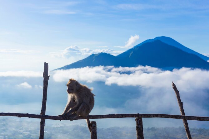 Private Mount Batur Sunrise Trekking Tour - Volcano-steam breakfast: what it is and why it matters
