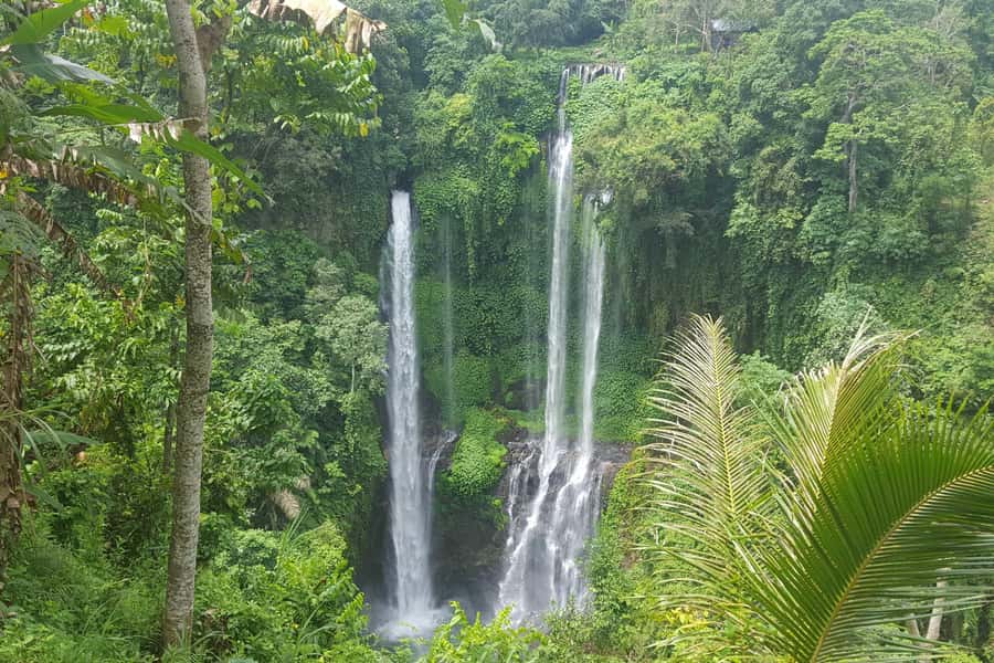 Private Sekumpul Waterfall Hiking Tour - 10-hour day logistics, from 07:00 pickup to 16:00 return