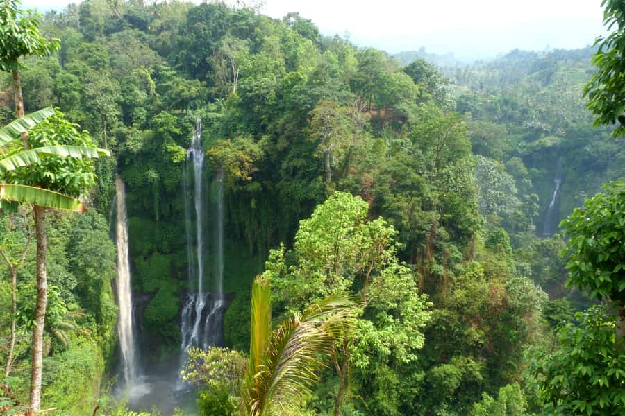 Private Sekumpul Waterfall Hiking Tour - What you really get for $58: private value, not just a checklist