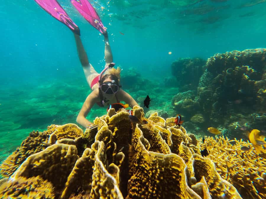 Private Snorkeling GIli Asahan, Goleng, Gili Layar & Gede - Key highlights to look forward to