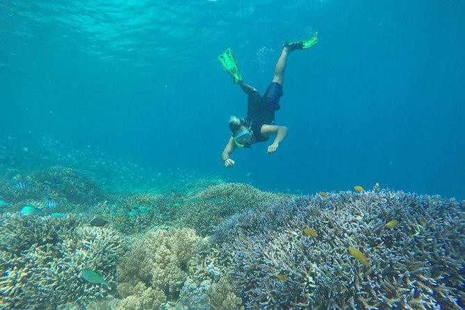 Private Snorkeling Gili Island (Coral, Statue and Turtle) - Scooter ruins, statues, coral, and turtles: the point of this tour