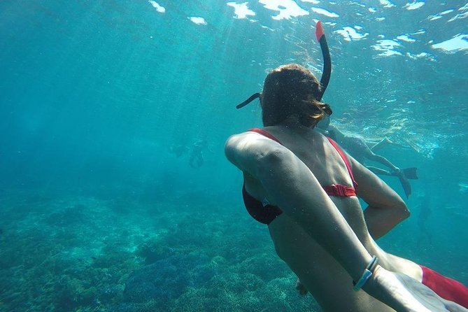 Private Snorkeling Gili Island (Coral, Statue and Turtle) - Gili Meno statue park snorkeling: Jason de Caires Taylor NEST