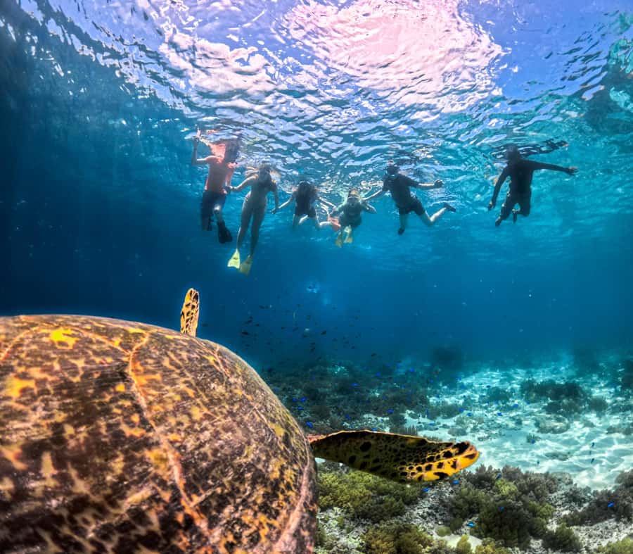 Private Snorkeling Gili Islands Full Day Tour - Getting to the Gili Islands from Senggigi and Mataram