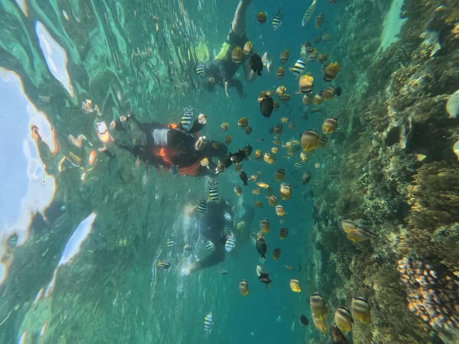 Private Snorkeling Gili Islands Full Day Tour - Your guide and the included underwater photo and video