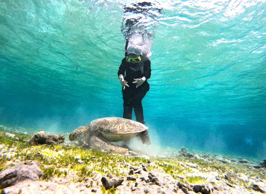 Private Snorkeling Gili Islands Full Day Tour - Gear, cash, and what to bring for a smooth snorkeling day