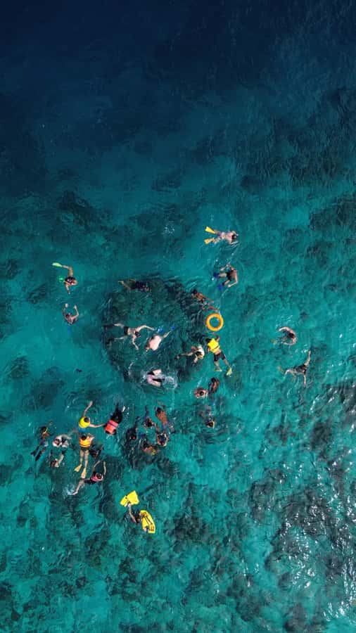 Private Snorkeling Gili Islands Full Day Tour - Gili Trawangan snorkeling: coral gardens and sea turtle encounters