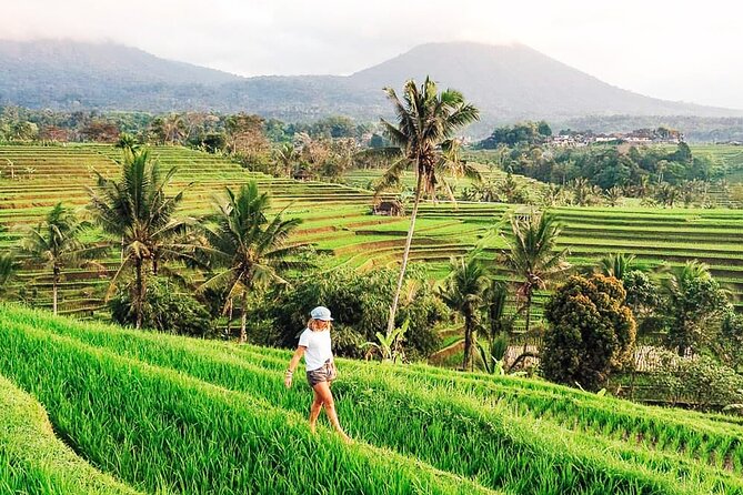 Private Tour: Bali UNESCO World Heritage Sites - Jatiluwih Rice Terraces: walking time and irrigation thinking