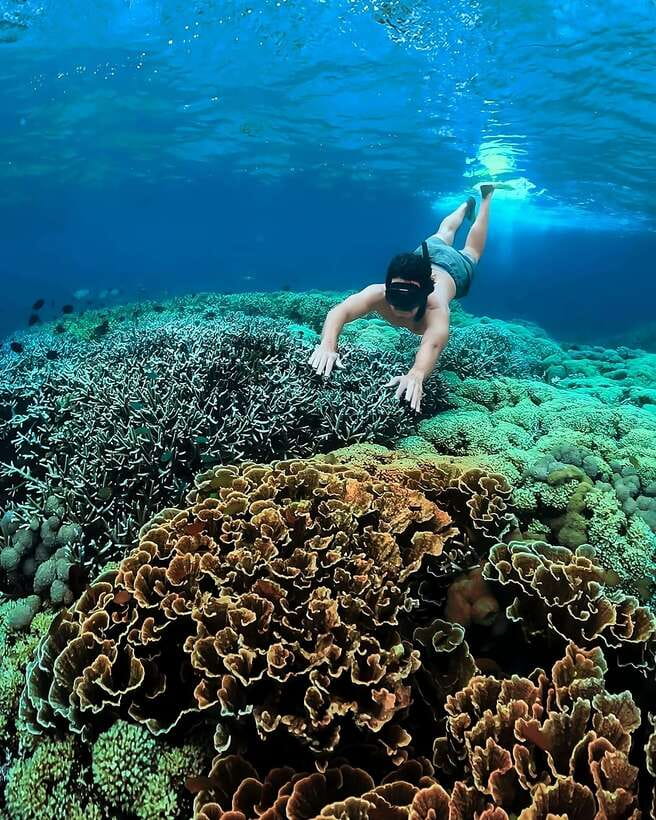 "Private Tour: Pink Beach Lombok Gili Islands & Sand Island" - Why Pink Beach Lombok And The Gili Stops Work So Well Together