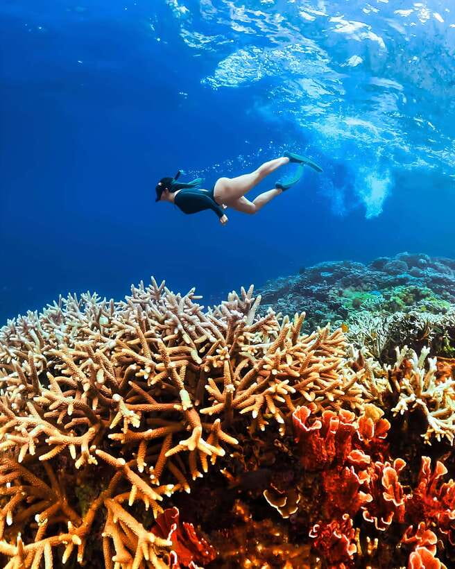 "Private Tour: Pink Beach Lombok Gili Islands & Sand Island" - How The 10-Hour Day Flows From Pickup To Harbor