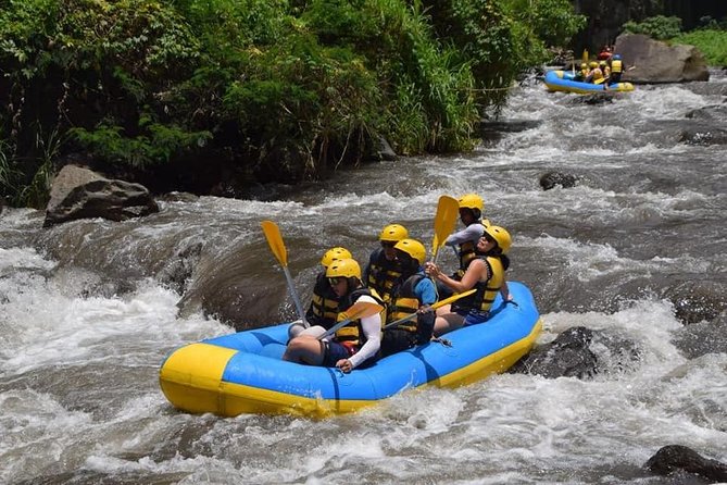 Private Tour Rafting Uluwatu Kecak Dance Sunset and Dinner in Jimbaran Bay - Private Group Comfort, Guides, and Getting Around Nusa Dua
