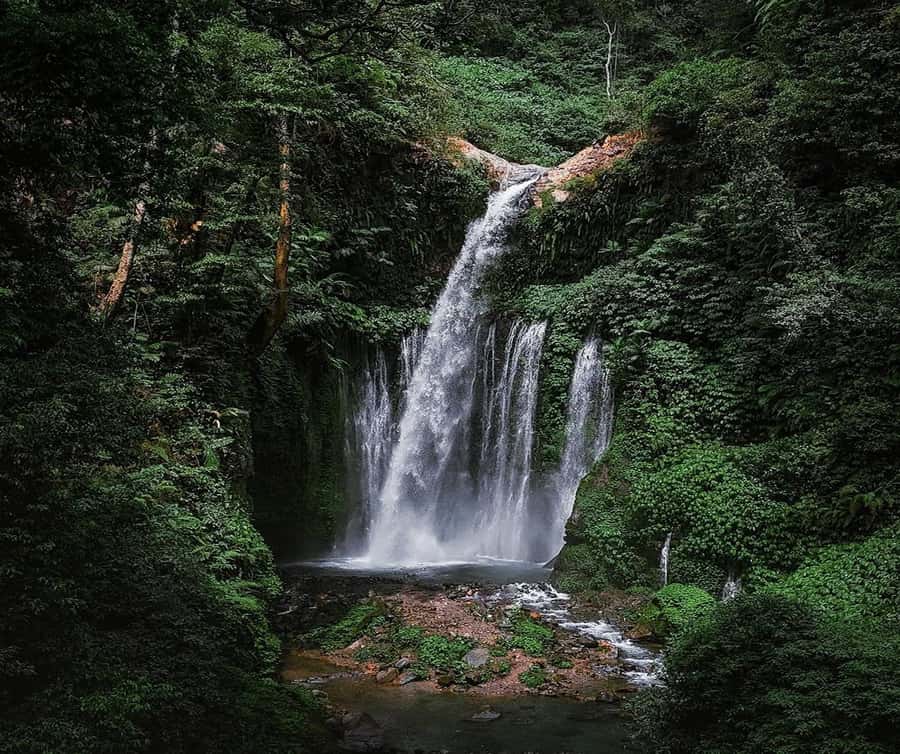 "Private Tour: Sendang Gile, Tiu Kelep Waterfall & Sembalun" - Key things you should know